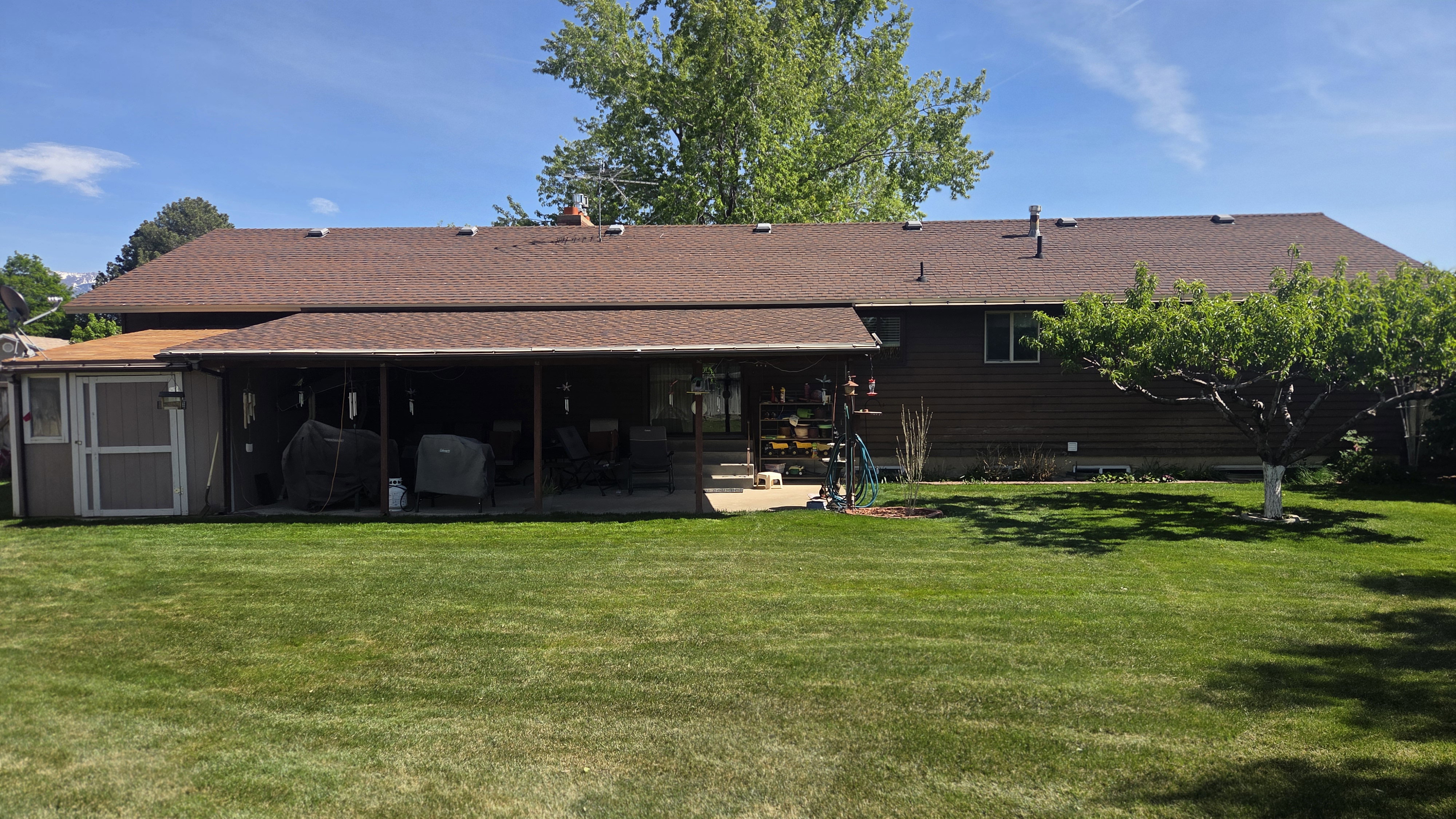 Expansive green lawn featuring a covered patio, mature trees, and a detached shed