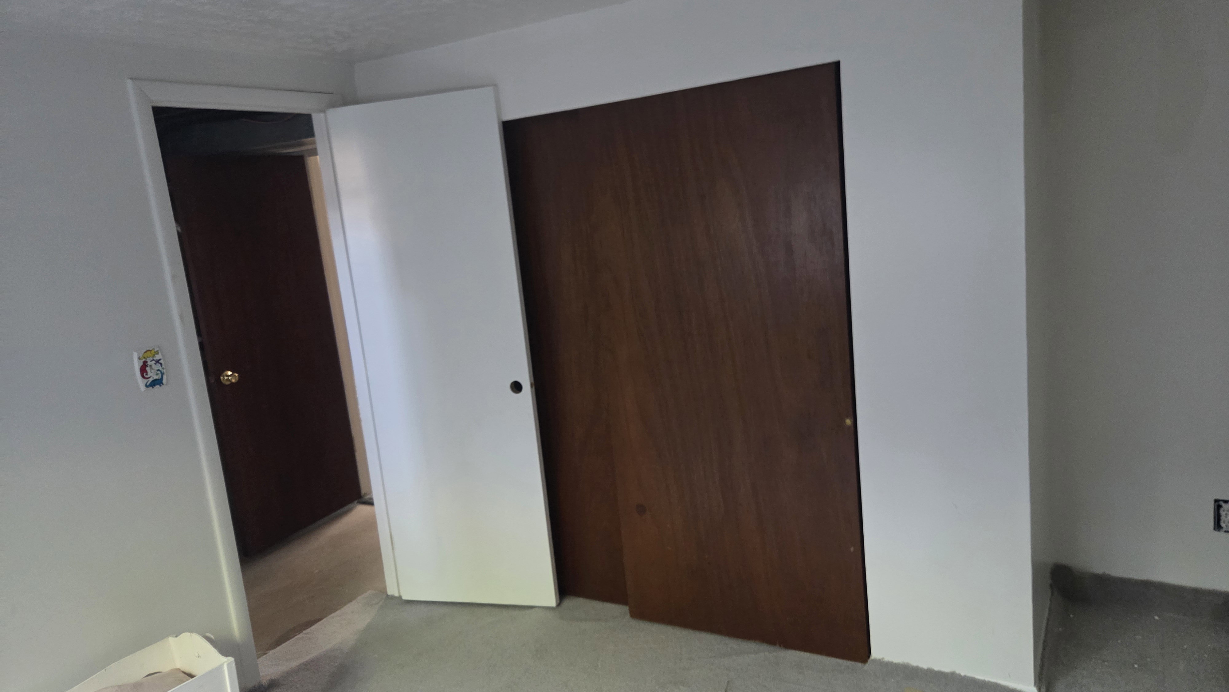 Interior space featuring neutral wall tones, a dark wood-finish closet door, and a white interior door