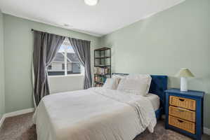 Bedroom featuring light green walls, a single window with dark gray drapes, and textured carpeting