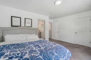 Bright bedroom with carpeted flooring