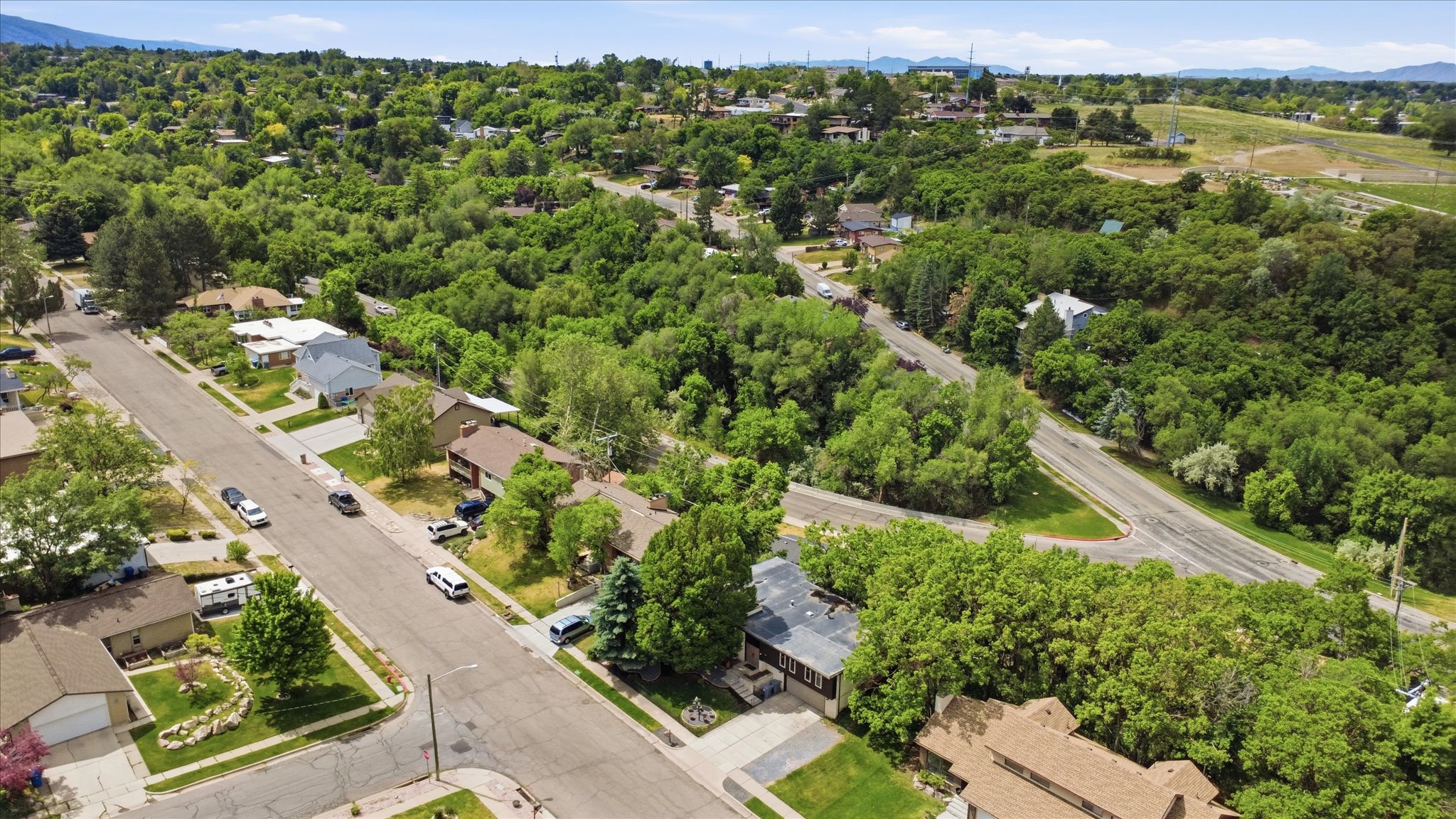 Aerial perspective showcasing a residential street with mature trees and established homes