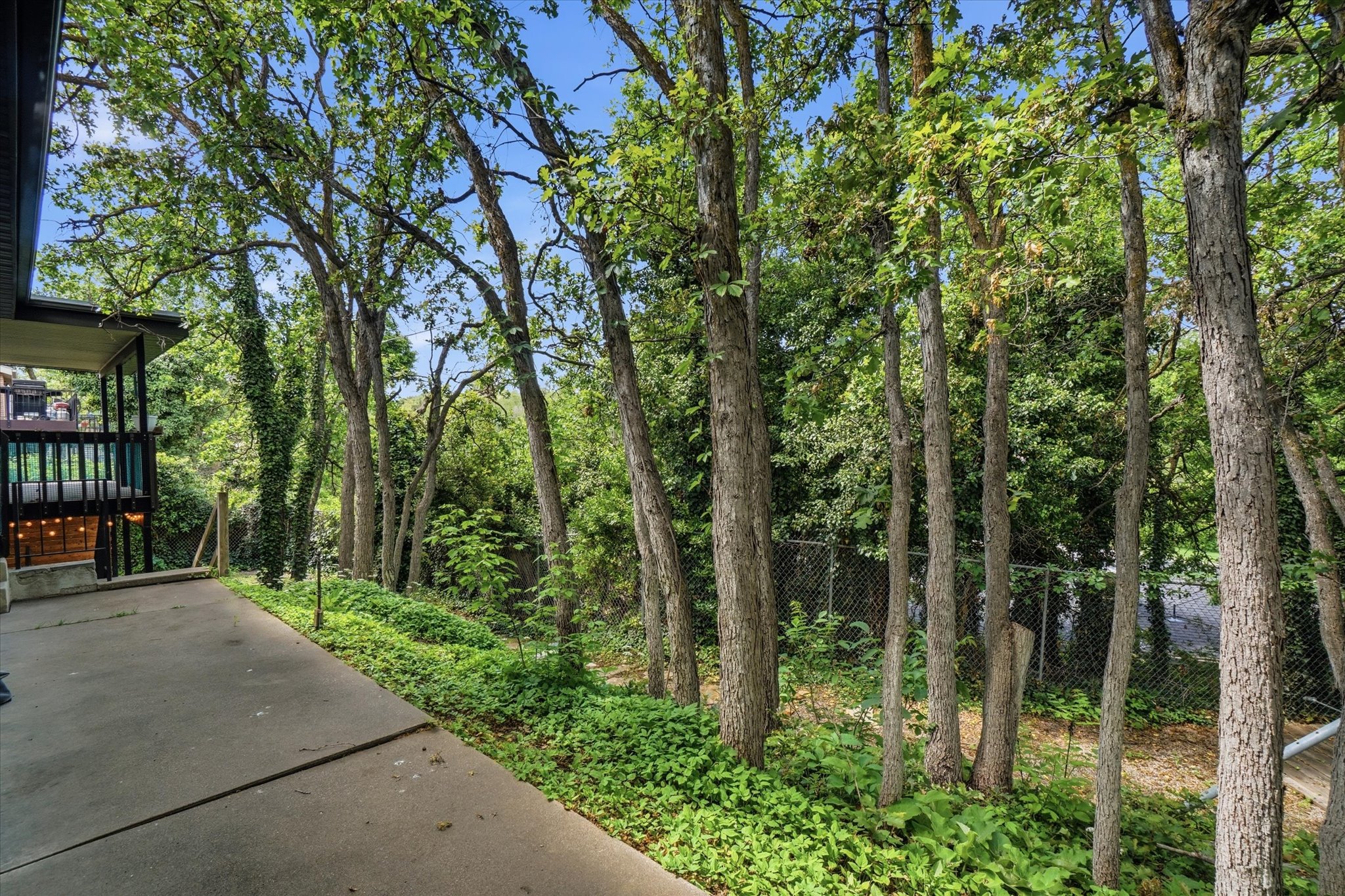 Mature trees flank a concrete patio area, offering natural shade