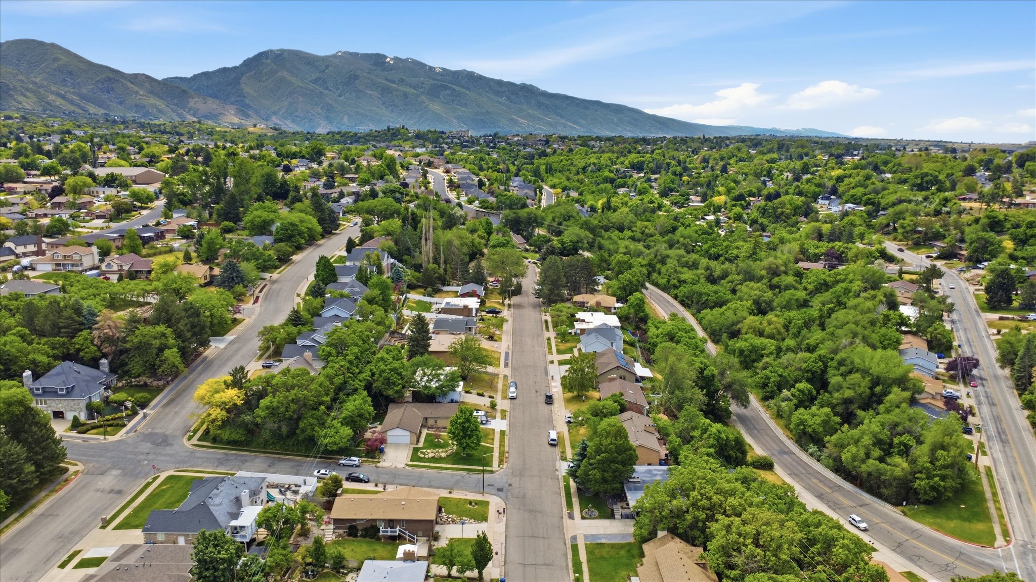 Aerial perspective of a residential neighborhood featuring established homes and extensive mature tree coverage