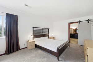 Bedroom featuring light-colored carpeting and a window with dark curtains