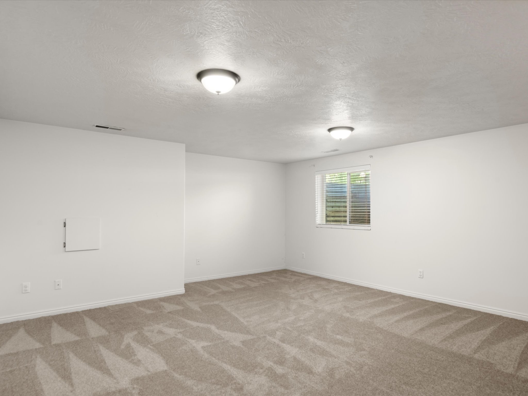 Carpeted room featuring a single window with blinds, white walls, and two ceiling-mounted light fixtures