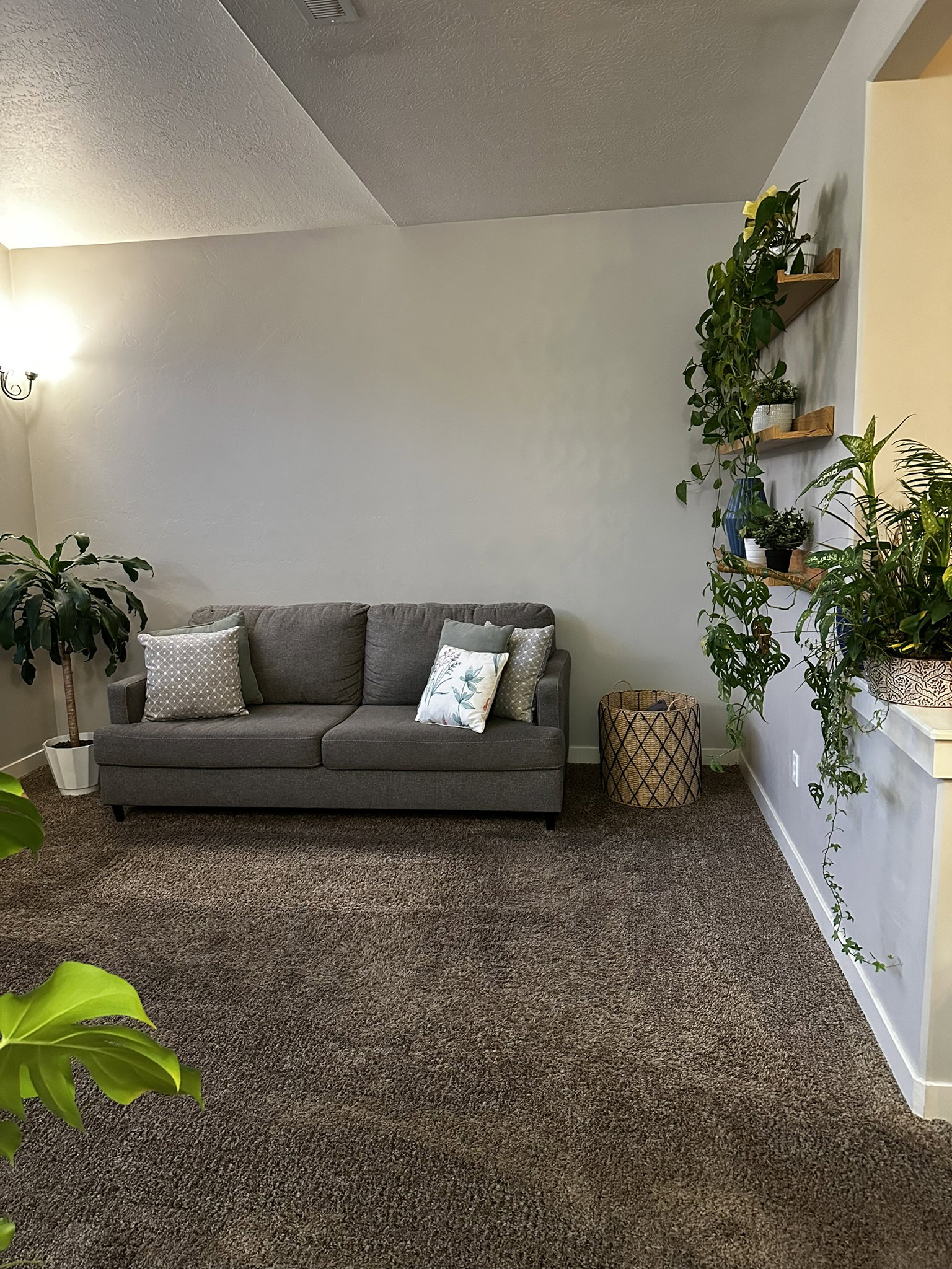 Plush carpeted flooring complements light-toned walls