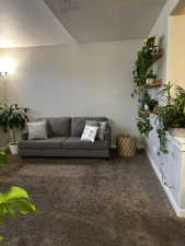 Plush carpeted flooring complements light-toned walls