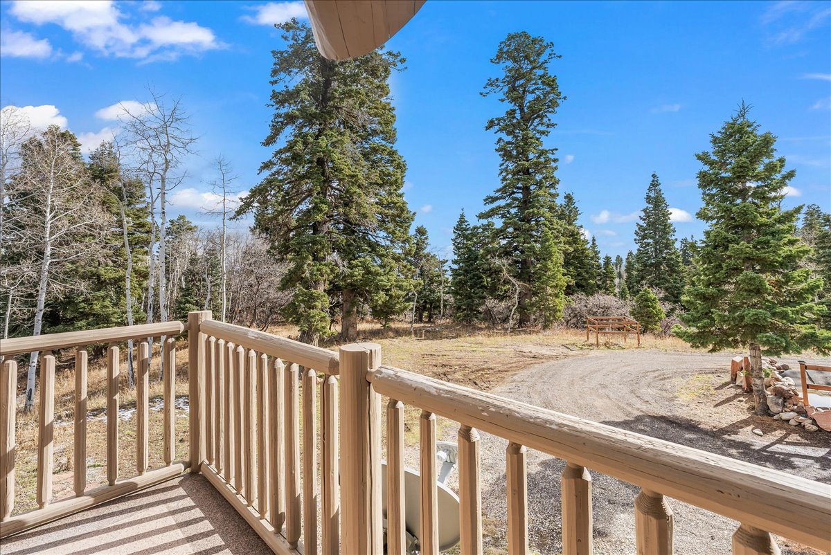 Rustic wooden deck railing framing a natural landscape with a gravel driveway, diverse tree species, and a clear blue sky