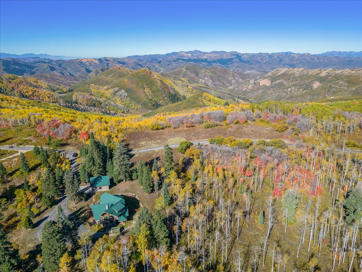 Mountain property featuring a single-family residence with a green roof, surrounded by mature evergreen and deciduous trees