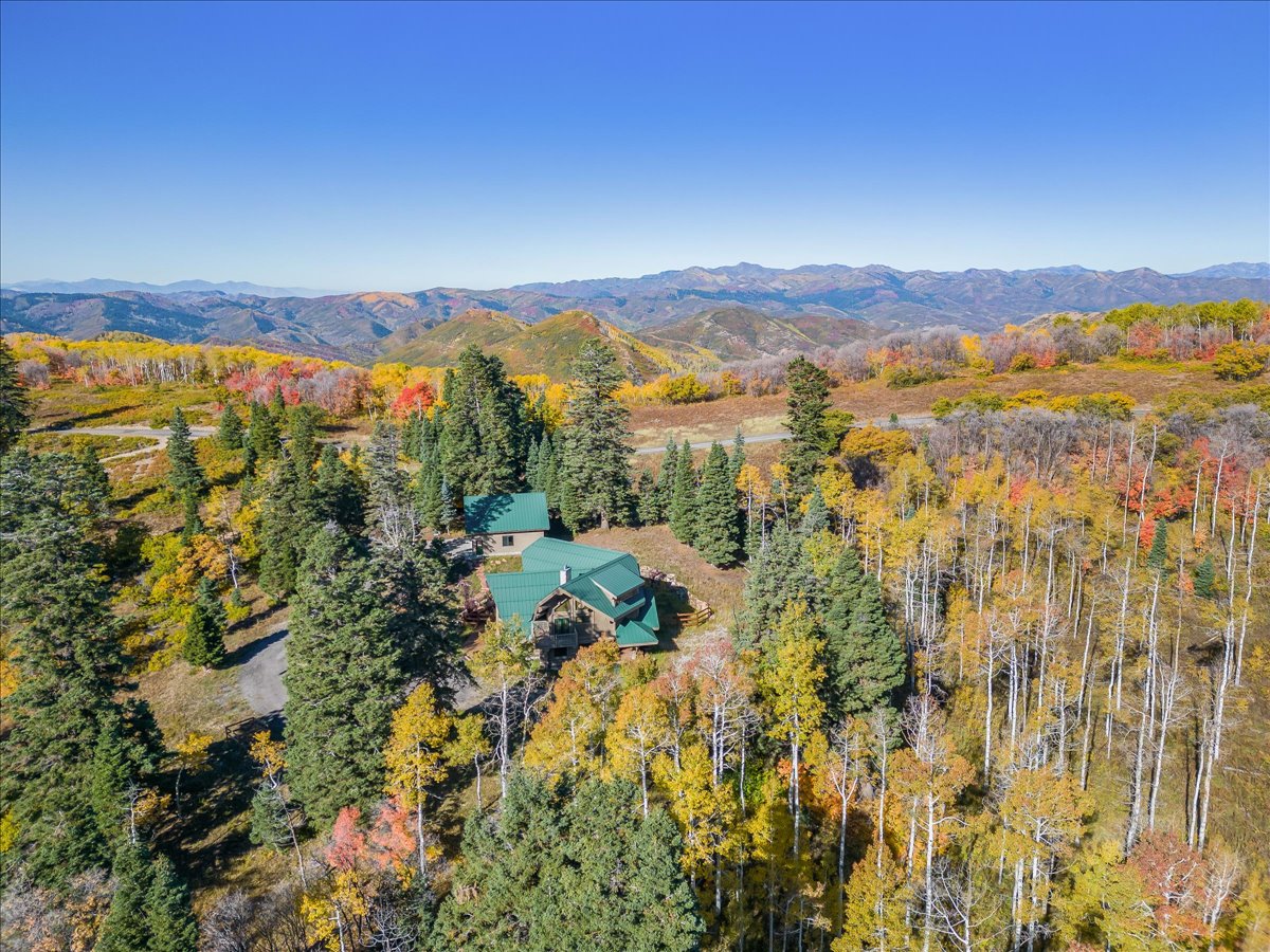 Mountain retreat featuring a green metal roof and a multi-level design, surrounded by a dense forest of mature evergreen and deciduous trees showcasing autumn foliage