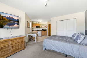 Open-concept studio space featuring carpeted flooring, a kitchen area with wood-finish cabinetry, and a full-size refrigerator
