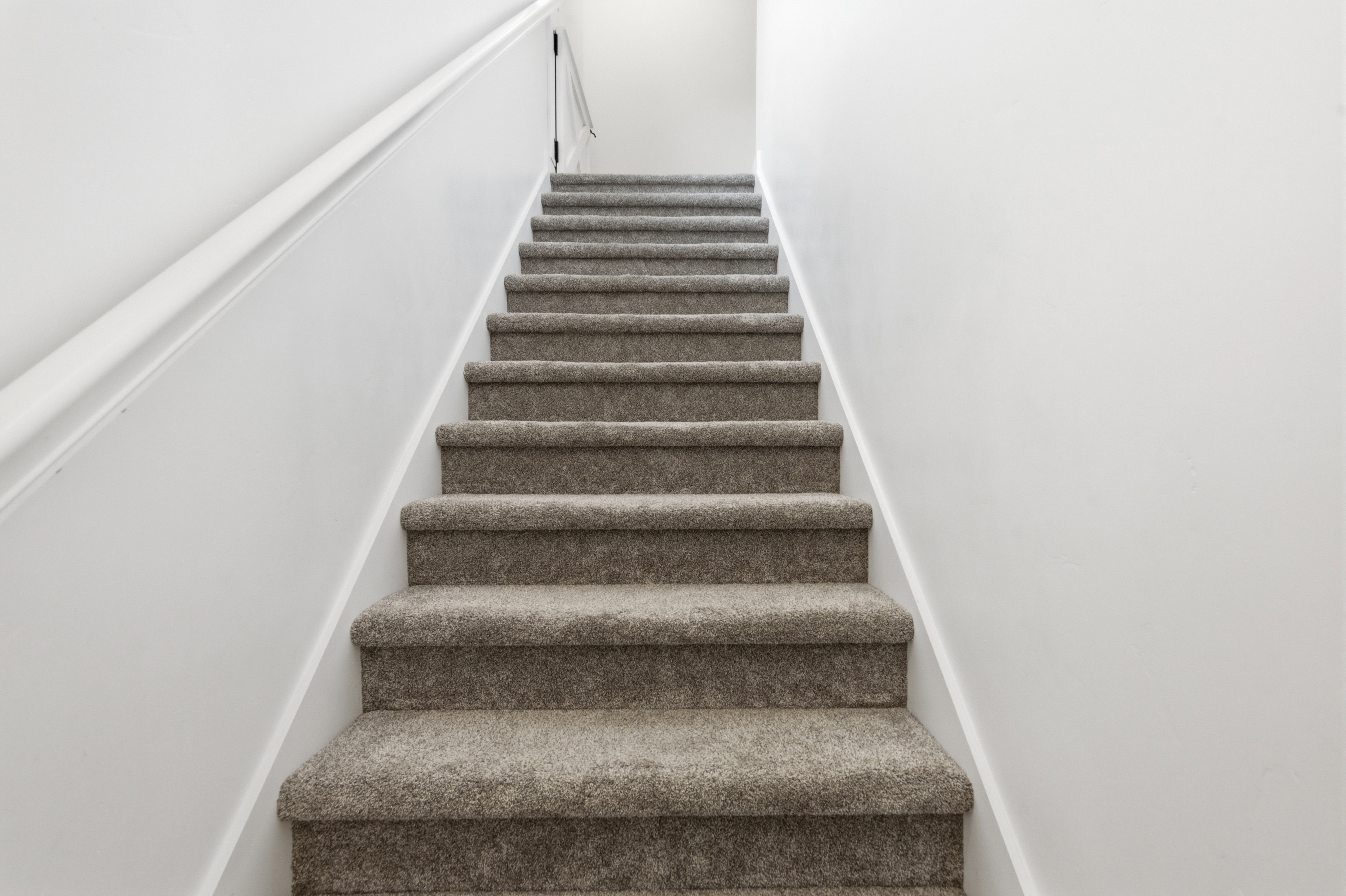 Carpeted staircase featuring a painted wood handrail and light-toned walls