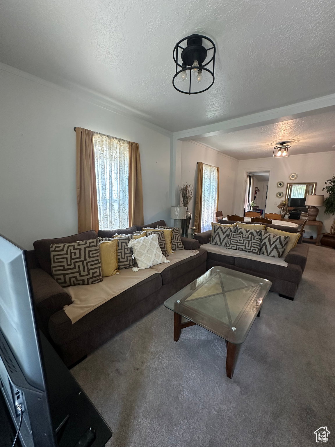 Living room featuring crown molding, overhead light fixture, and broad doorways