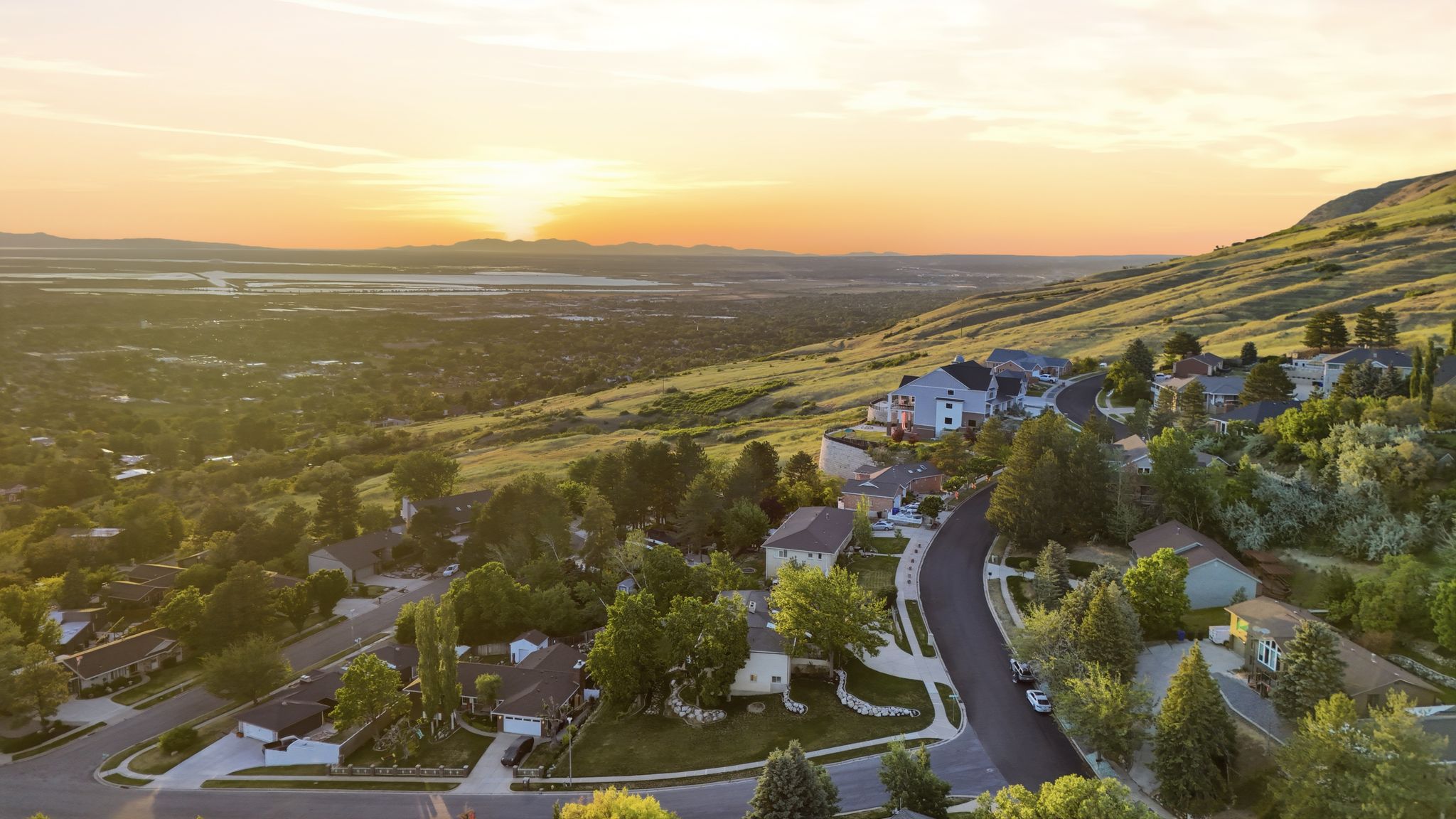 Hillside community featuring a winding roadway, mature trees, and varying architectural styles