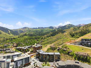 Expansive mountain and valley scenery featuring distant snow-capped peaks and forested slopes