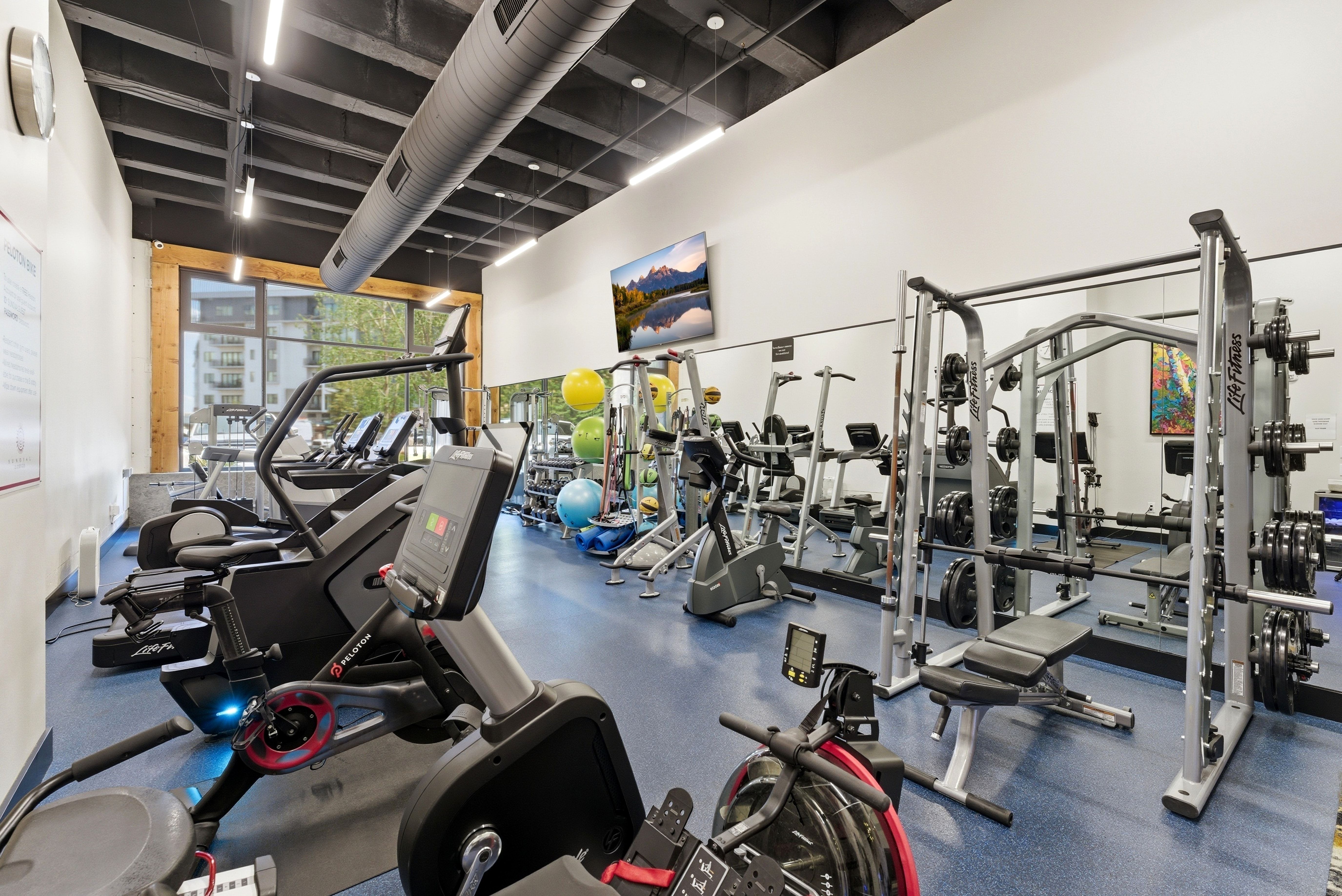 Fitness center featuring a variety of cardio equipment, weight machines, and free weights