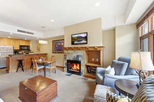 Living area featuring a stone-surround fireplace with a wood mantle, built-in shelving, and carpeted flooring