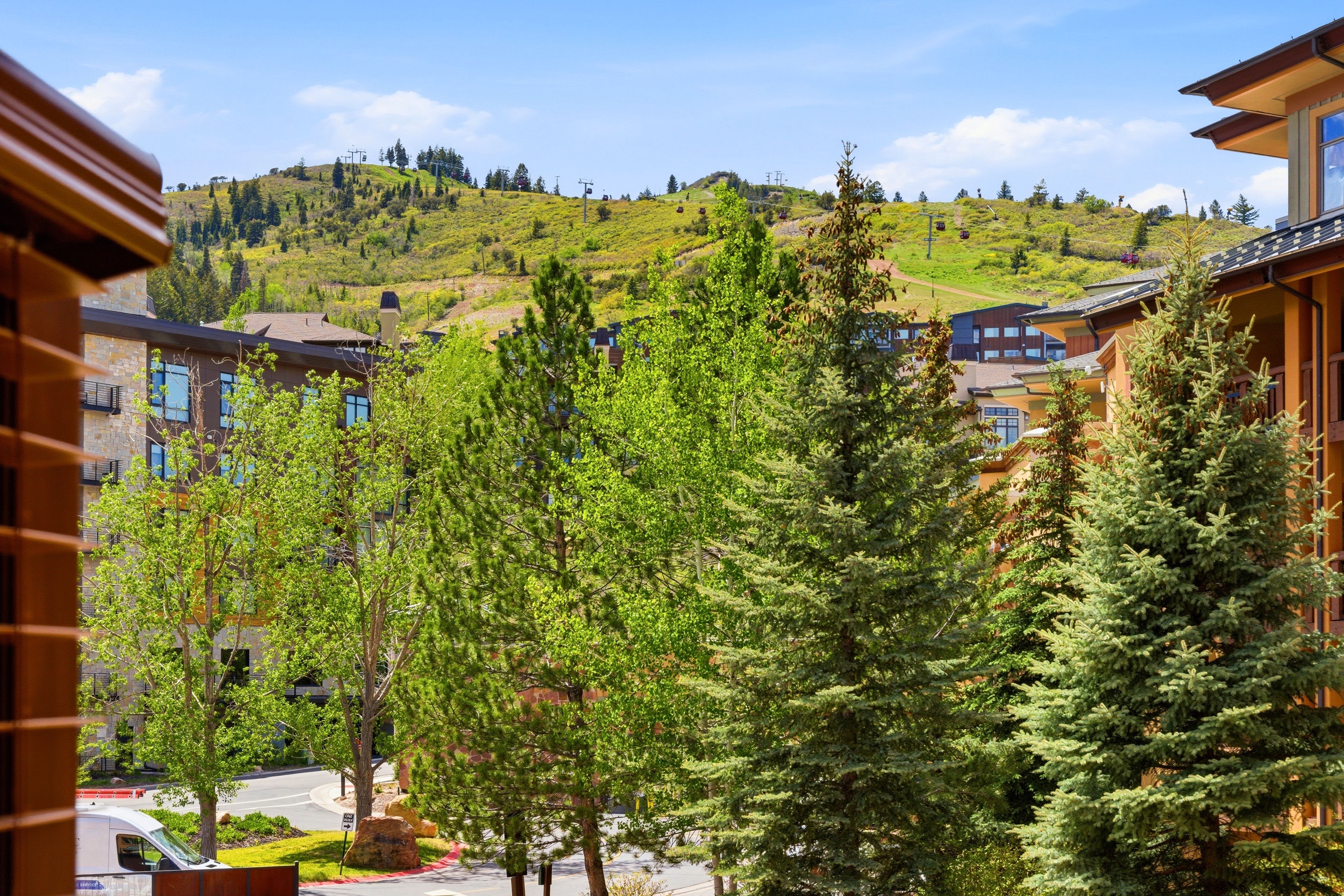 Expansive mountain backdrop with lush green foliage and distant structures