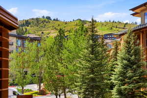 Expansive mountain backdrop with lush green foliage and distant structures
