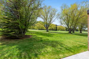 Expansive green lawn with mature trees and a brick architectural element