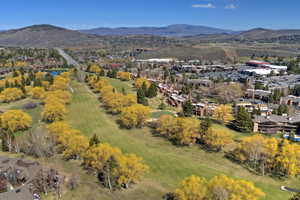 Expansive green spaces featuring mature golden trees and varied foliage