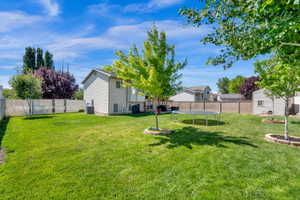 Expansive grassy yard featuring a light-colored privacy fence, mature trees, and a detached storage shed