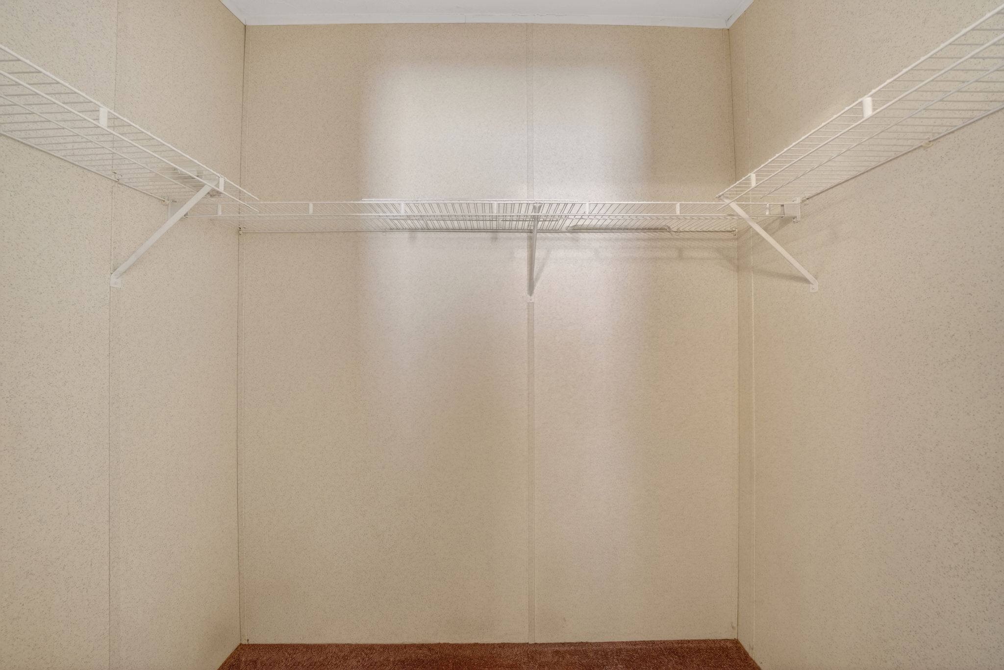 Closet featuring white wire shelving, hanging rods, light-toned wall panels, and carpet flooring