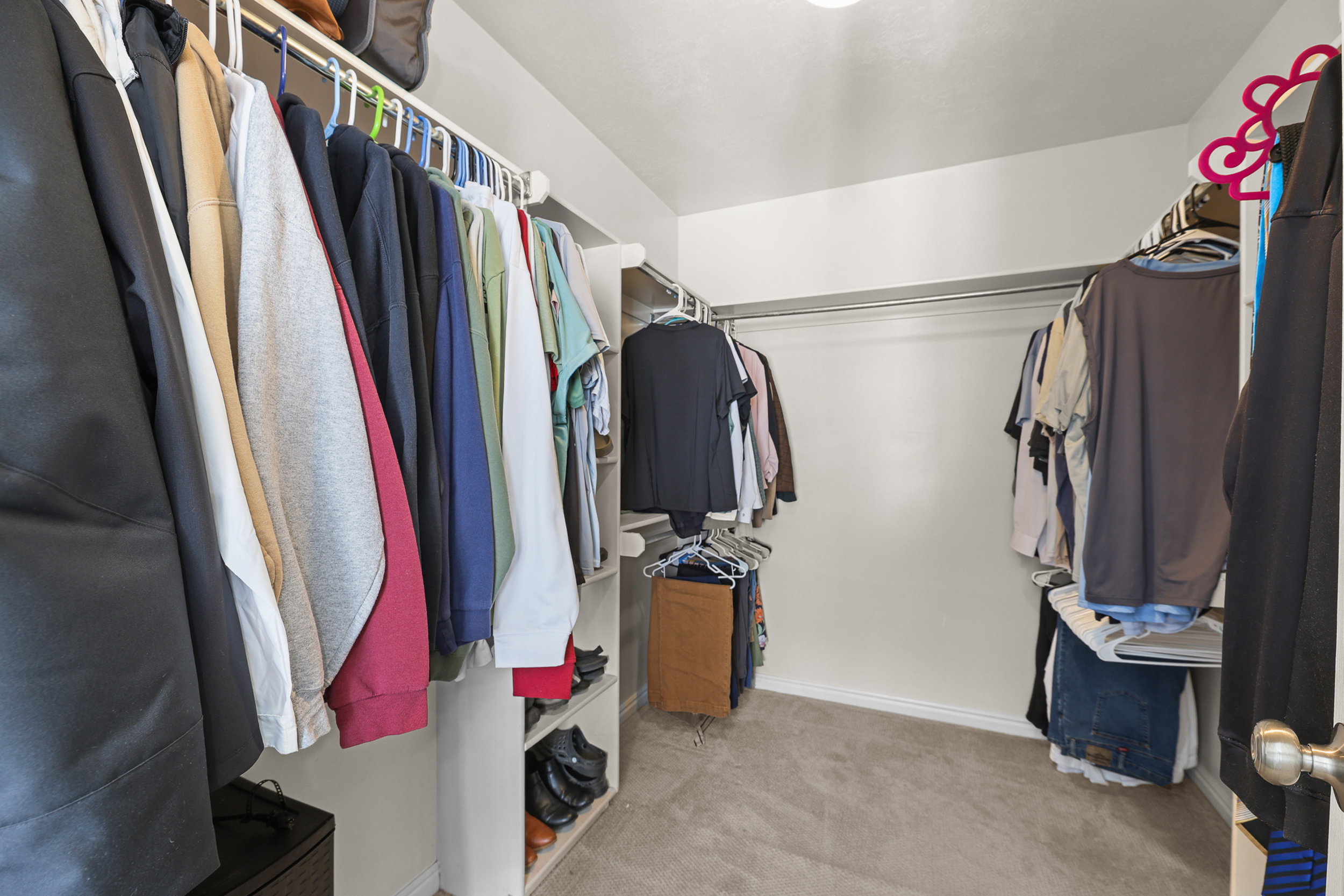 Walk-in closet featuring carpet flooring, built-in shelving, and multiple clothing rods