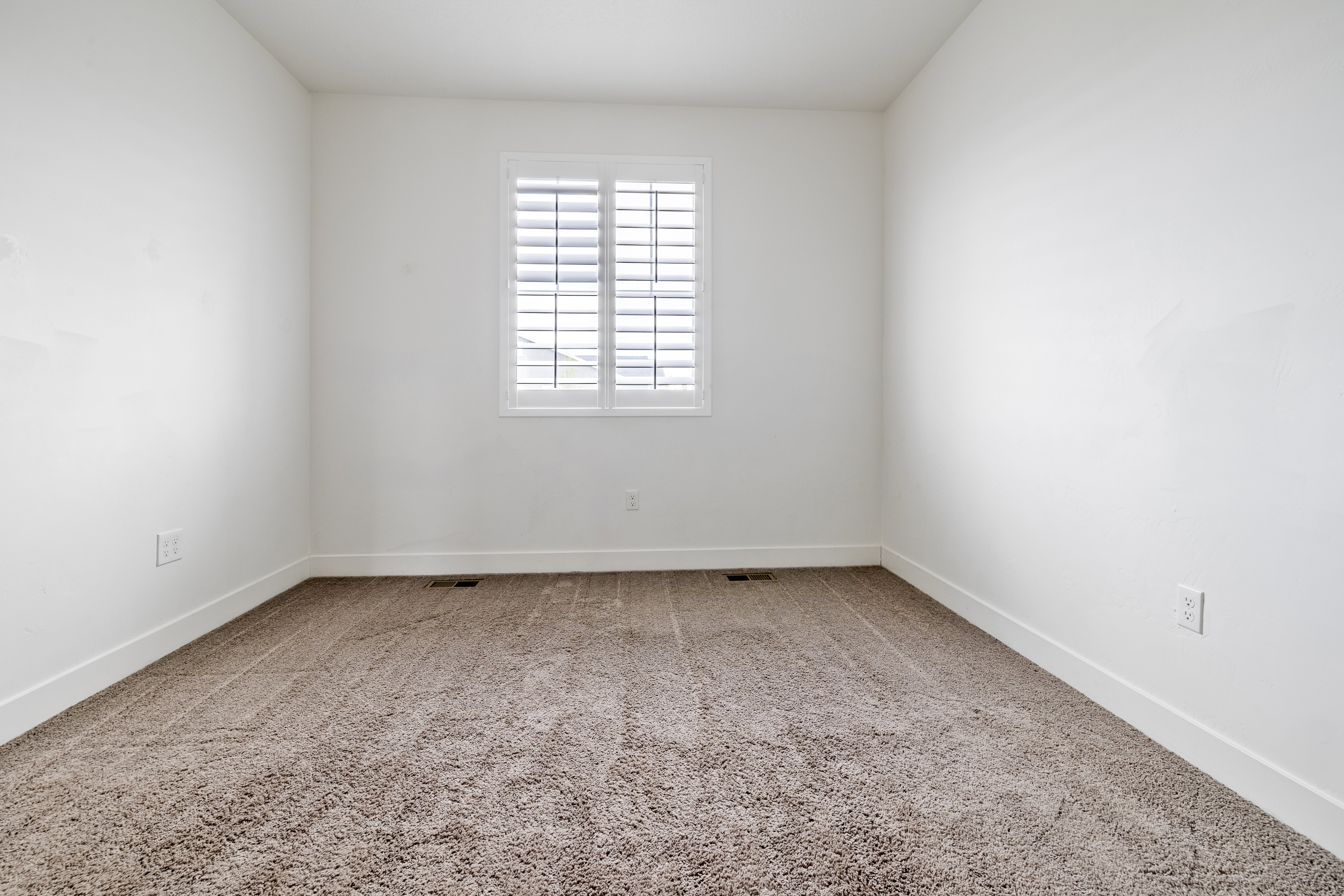 Bright room featuring light-colored walls and plush carpeting