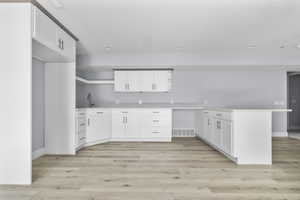 Modern kitchen in the basement featuring white cabinetry, light wood-finish flooring, a built-in refrigerator enclosure, a kitchen island, and a stainless steel faucet