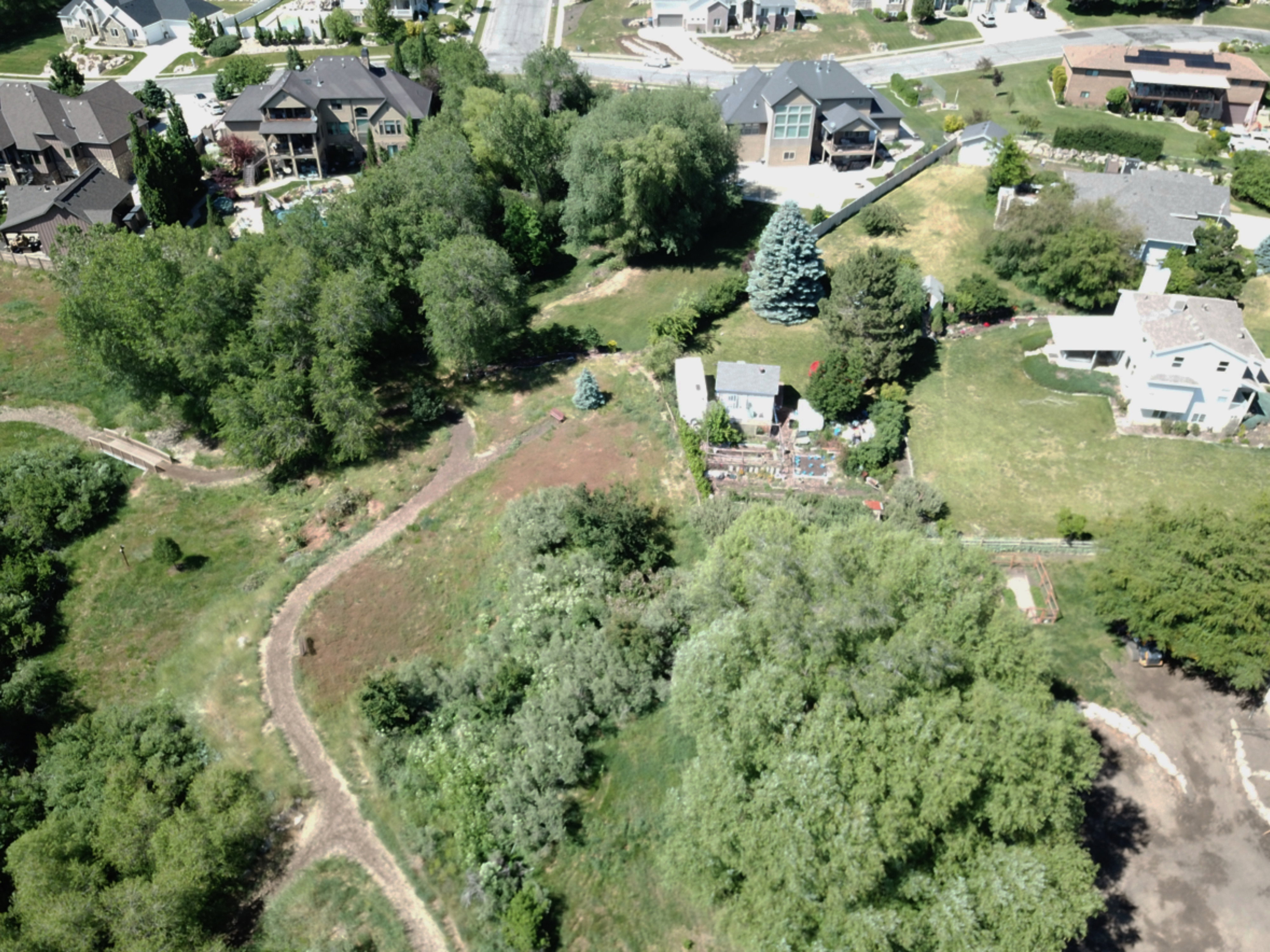 Expansive grounds featuring natural landscaping and mature trees