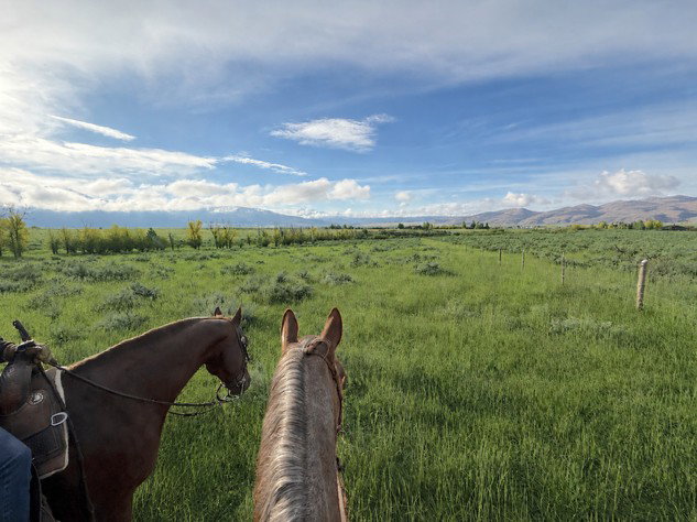 Expansive green acreage with distant mountain ranges and a clear blue sky