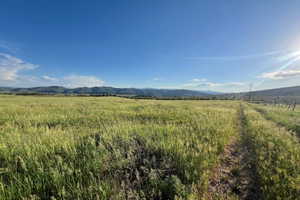Expansive grassy field with a clear path, bordered by a rustic wire fence