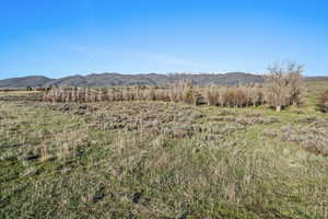 Expansive open land featuring natural grasses and sparse brush