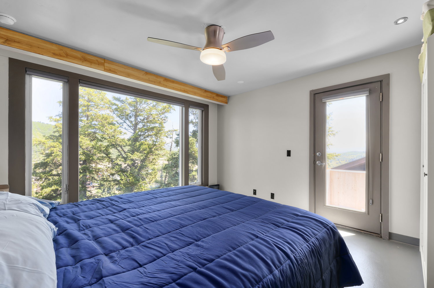 Expansive window wall with dark frames, a full-light exterior door, a ceiling fan with integrated lighting, and neutral wall finishes