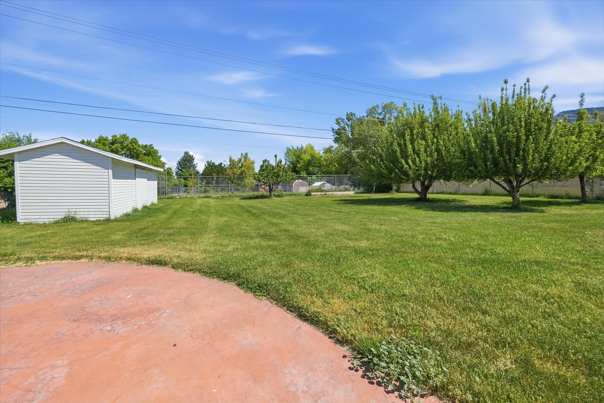 Expansive green lawn with mature trees and a concrete patio