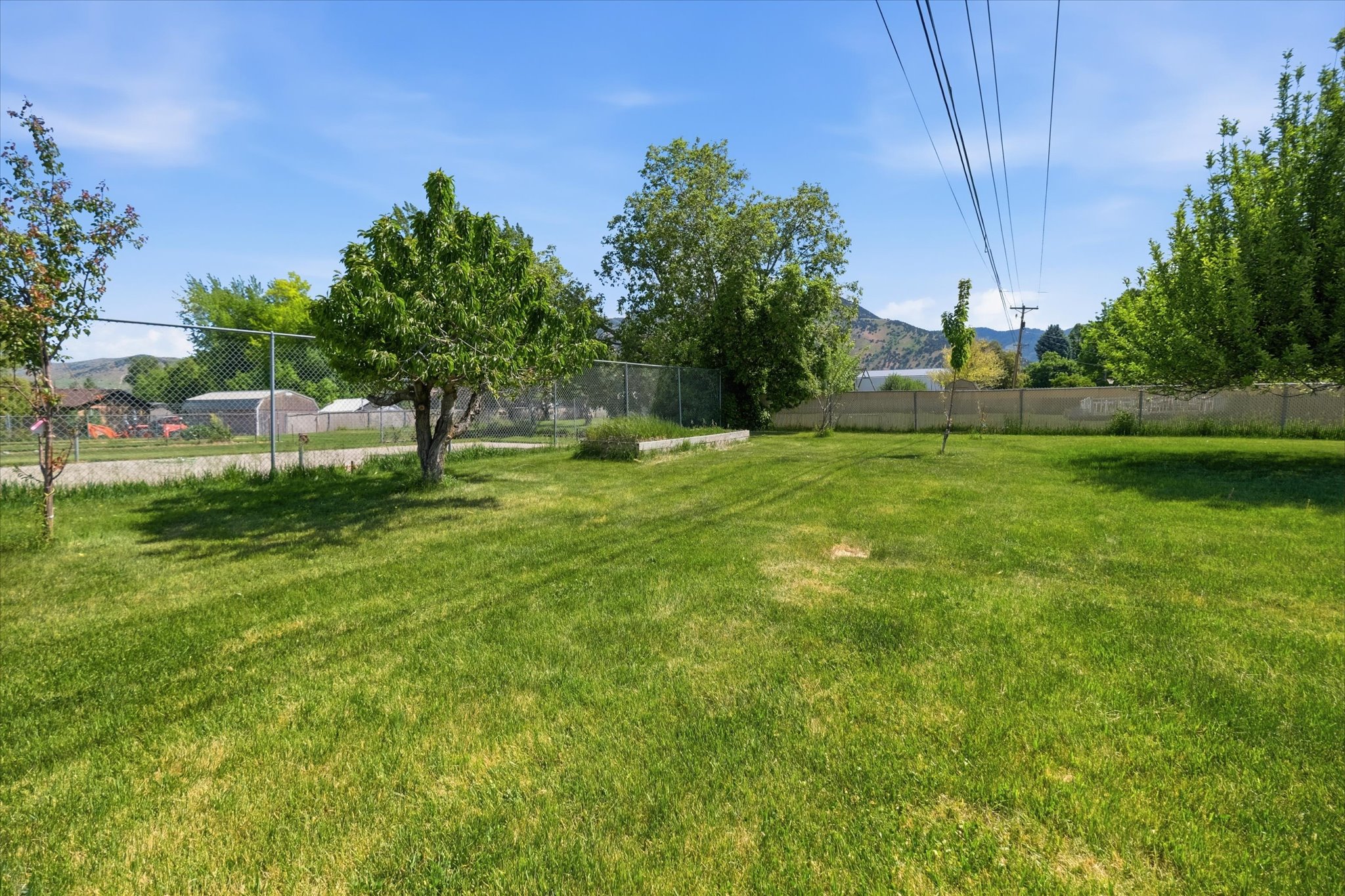 Expansive lawn area featuring mature trees and chain-link fencing