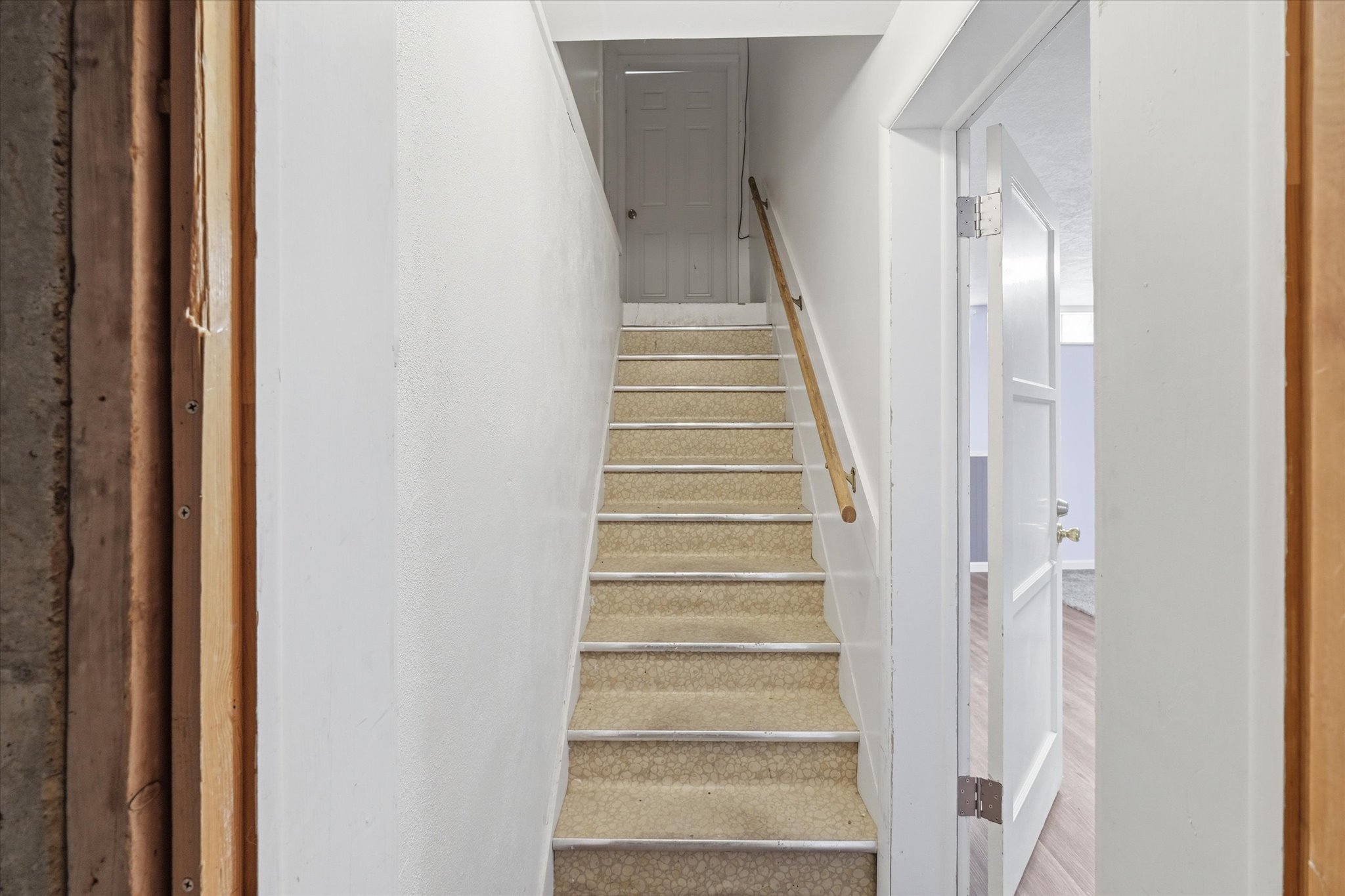 Staircase featuring carpeted treads and a light wood handrail