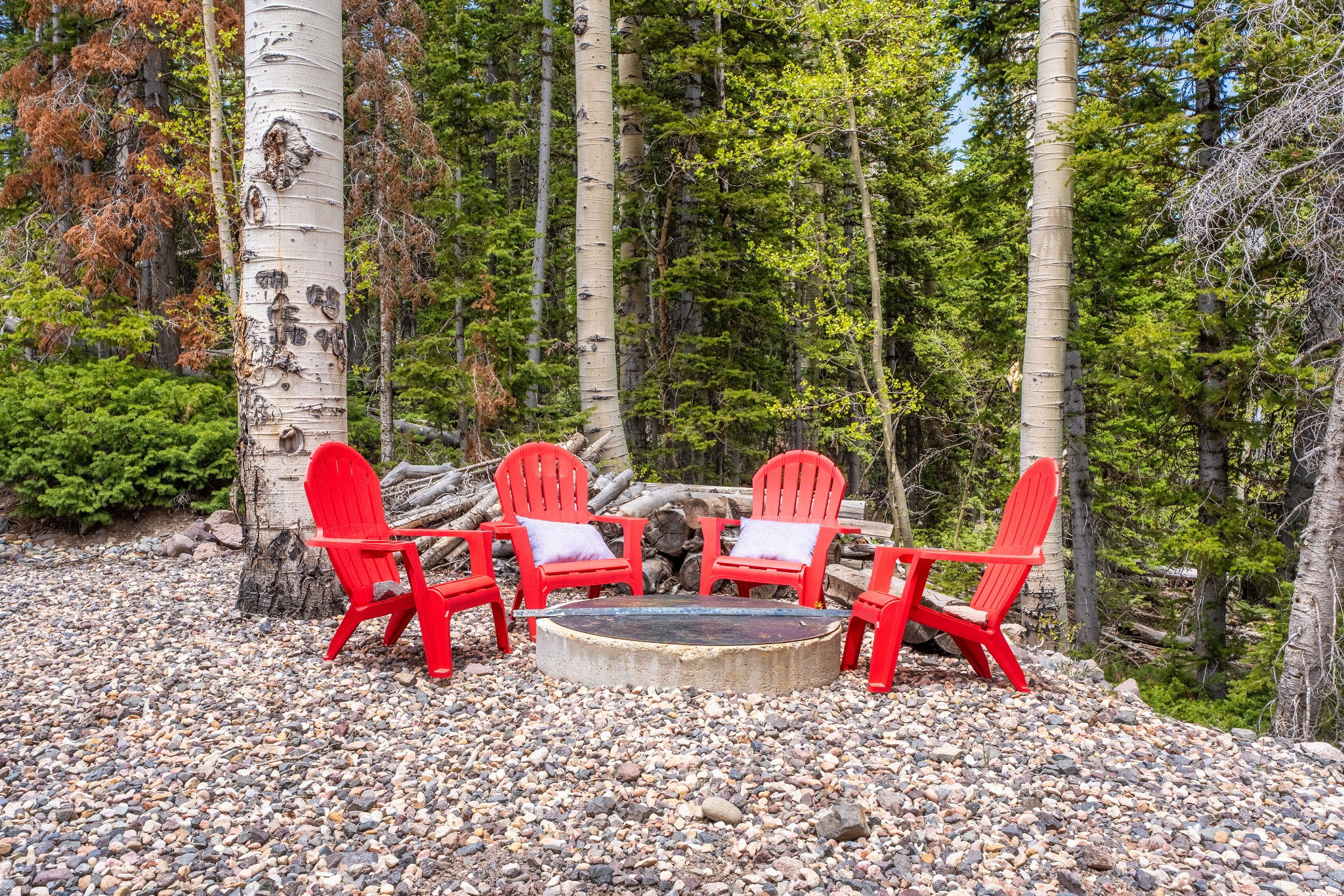 Outdoor fire pit area with a gravel base, surrounded by mature trees