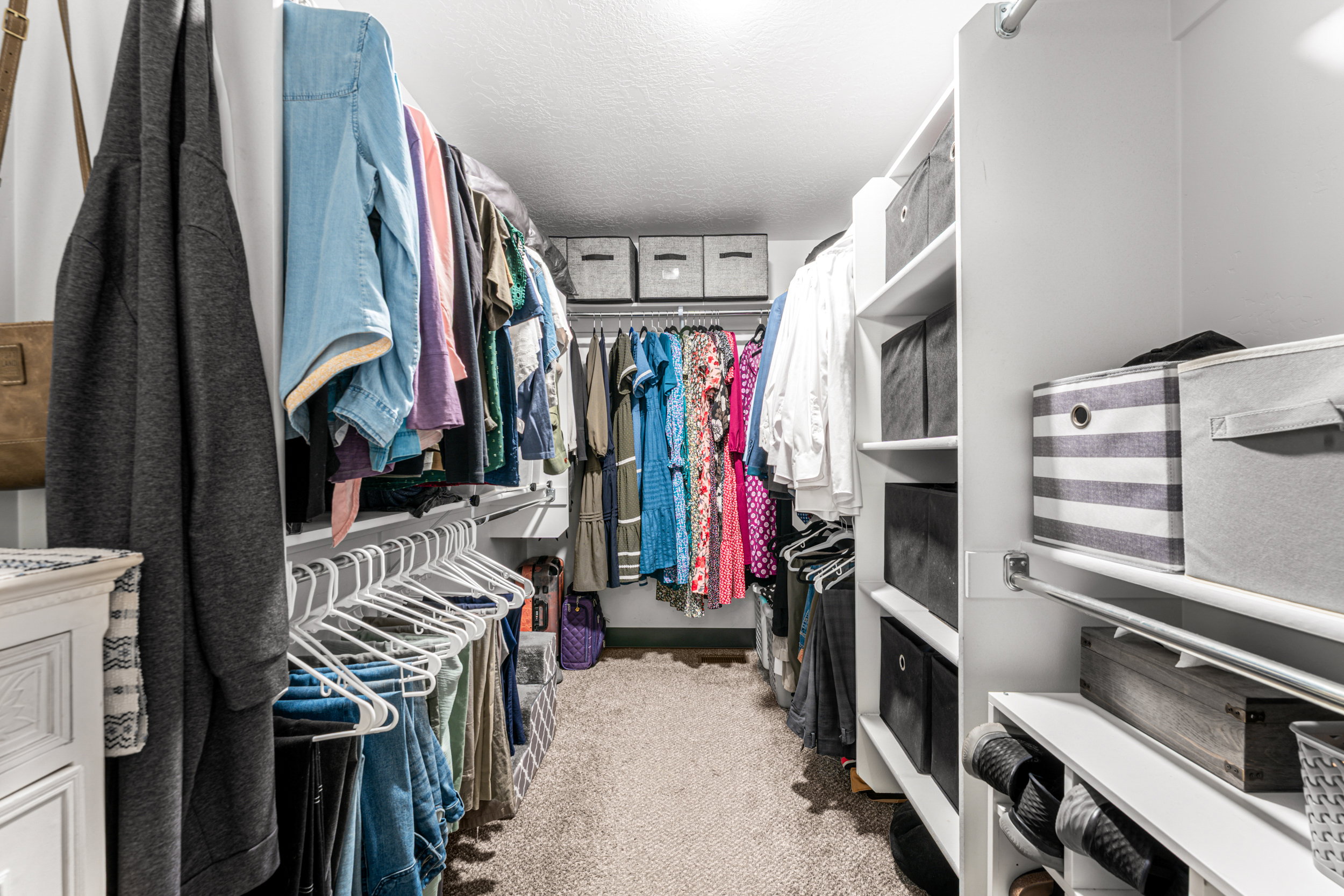 Walk-in closet featuring extensive built-in shelving, multiple hanging rods, and carpet flooring