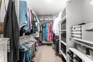Walk-in closet featuring extensive built-in shelving, multiple hanging rods, and carpet flooring