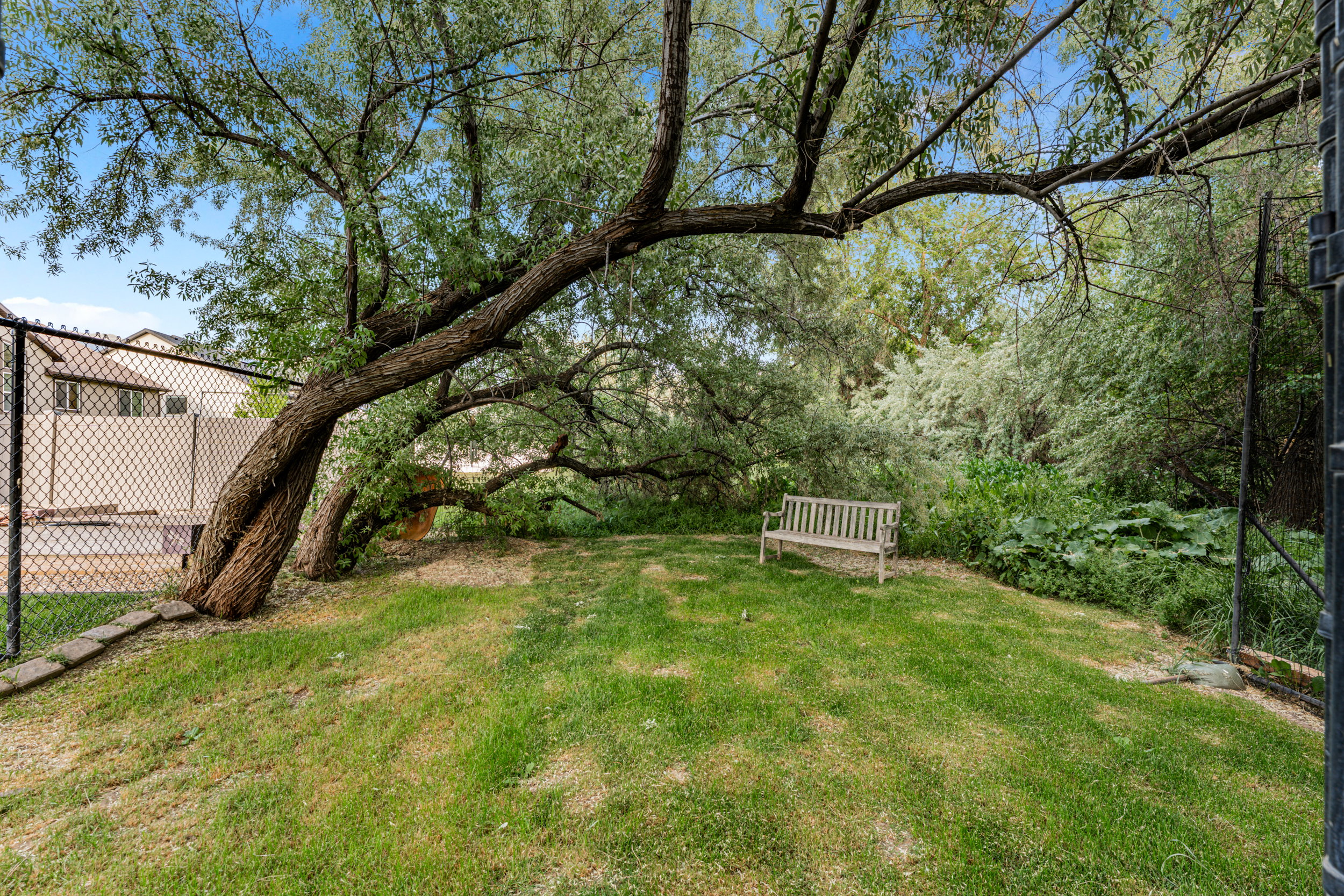Grassed outdoor space with mature trees providing natural shading