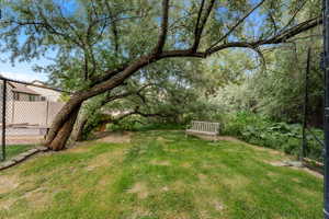 Grassed outdoor space with mature trees providing natural shading