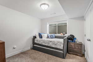 Bright room featuring a window with white trim, neutral carpet, and a flush-mount ceiling light