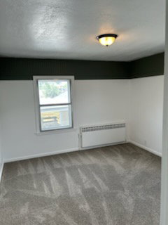 Carpeted interior space featuring a window with exterior visibility, a ceiling-mounted light fixture, white baseboards, and a wall-mounted radiator