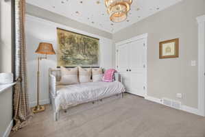 Carpeted room featuring a double-door closet with black hardware, a window with patterned curtains, and a decorative ceiling fixture
