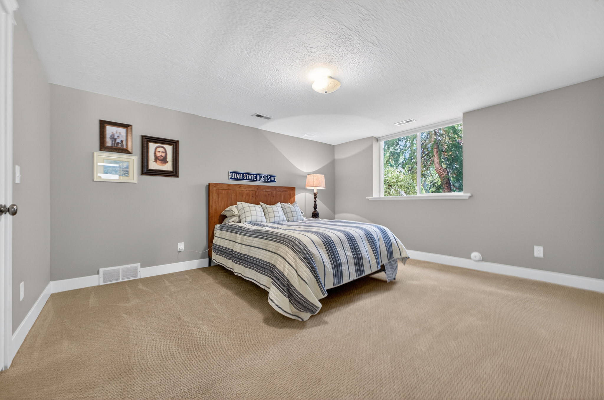 Spacious interior room featuring light gray walls, plush beige carpeting, white trim, a large window, and a flush-mount ceiling light fixture