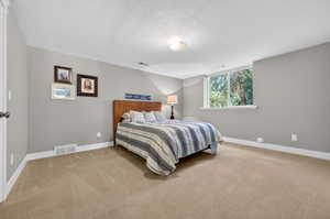 Spacious interior room featuring light gray walls, plush beige carpeting, white trim, a large window, and a flush-mount ceiling light fixture