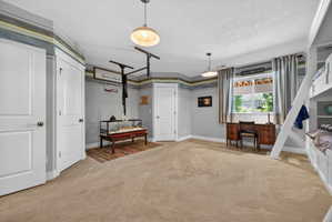 Spacious room featuring neutral carpeting and light gray walls with a decorative border