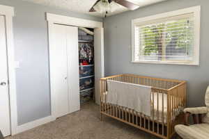 Neutral gray wall paint with white trim, brown ceiling fan with light kit, and carpeted flooring